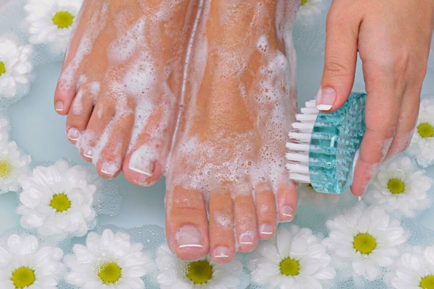 iltze onddoen aurkako prebentzio neurriak